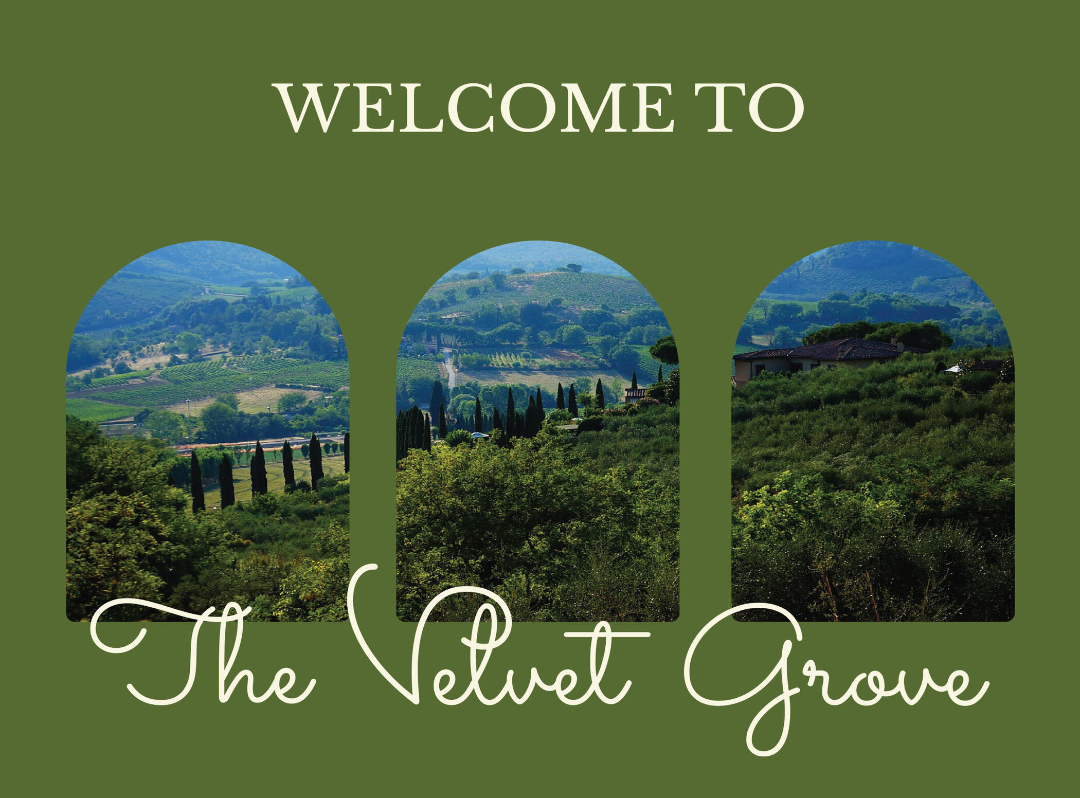 The Velvet Grove The Velvet Grove